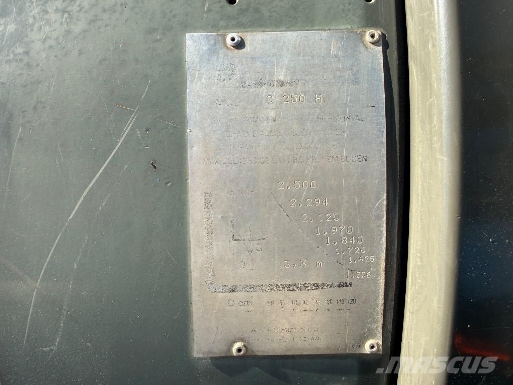 Ausa C 250 H Навантажувачі підвищеної прохідності