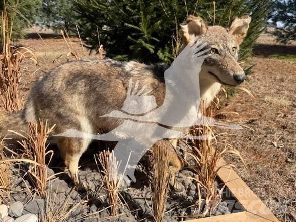Coyote  Будтехніка - Інші