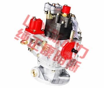 Cummins fuel pump Транспорт - Інші