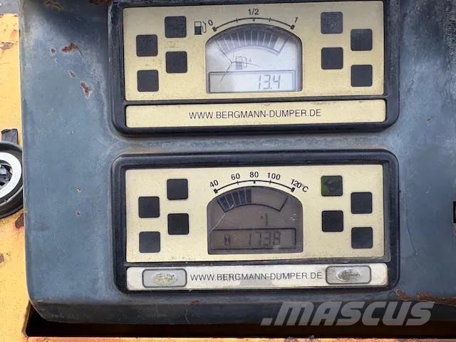 Bergmann 2050 Міні самоскиди