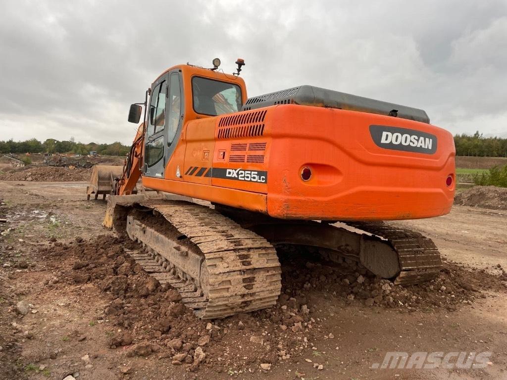 Doosan DX 255 LC Гусеничні екскаватори
