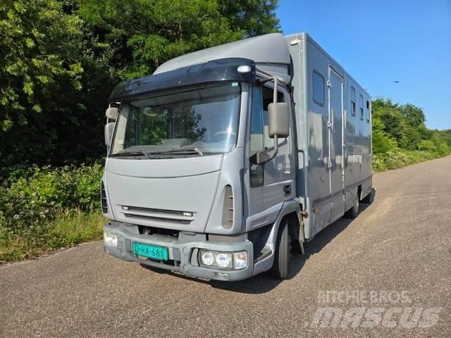 Iveco E 75 Автотранспорт для перевезення тварин
