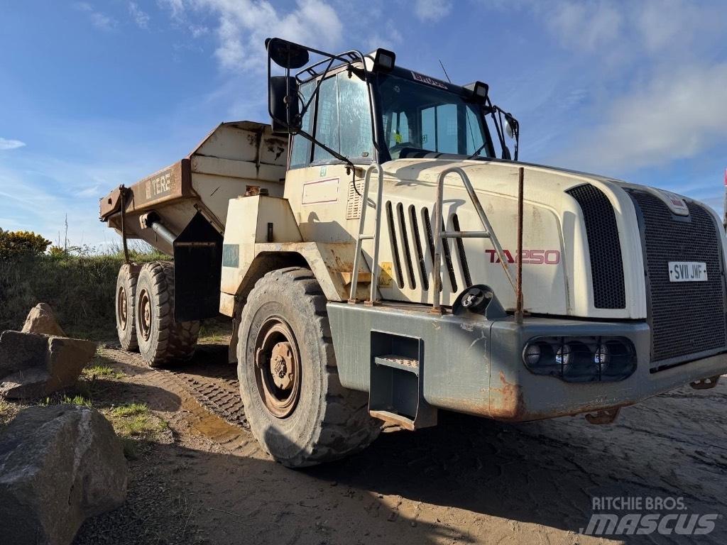 Terex TA 250 Зчленовані самоскиди