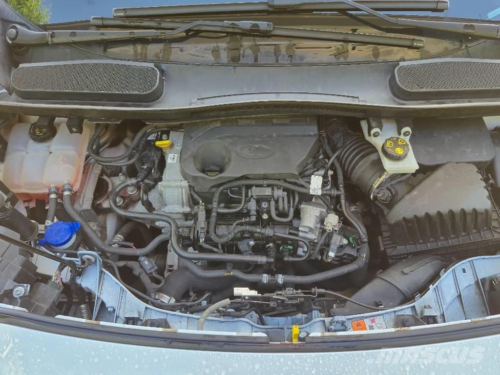 Ford Transit Connect Панельні фургони