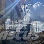 CAT 349EL Гусеничні екскаватори