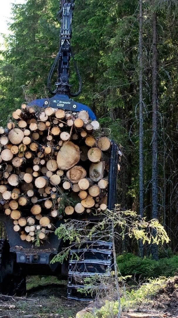  XL Grapple 028 STD Захват