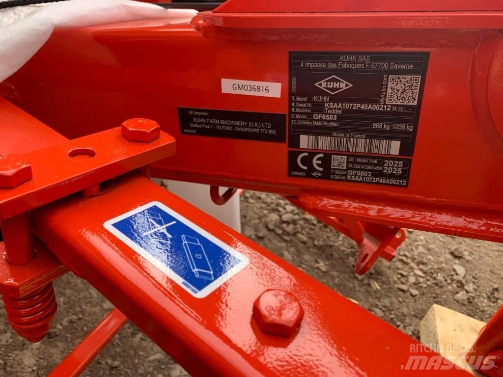 Kuhn GF6503 TEDDER Граблі і сінозворушувачі