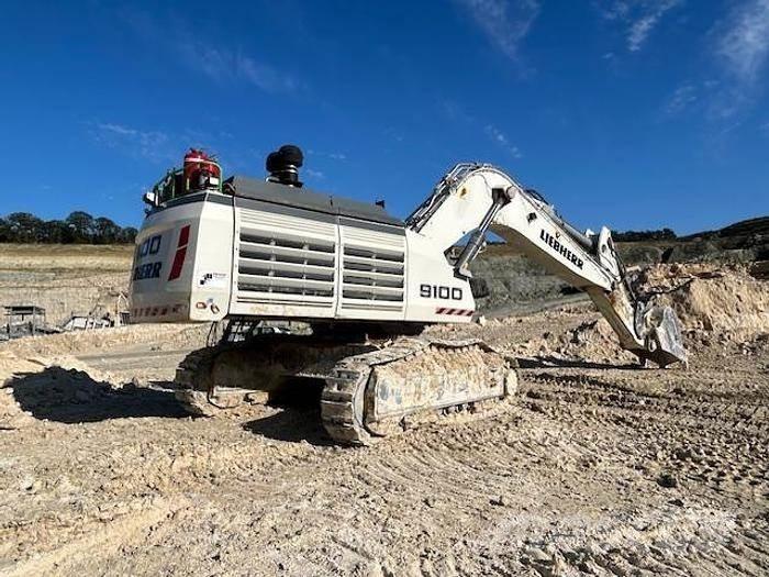 Liebherr R9100 Спеціальні екскаватори