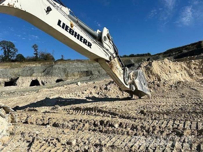 Liebherr R9100 Спеціальні екскаватори