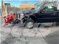 Ford F 350 Вантажівки-платформи/бокове розвантаження