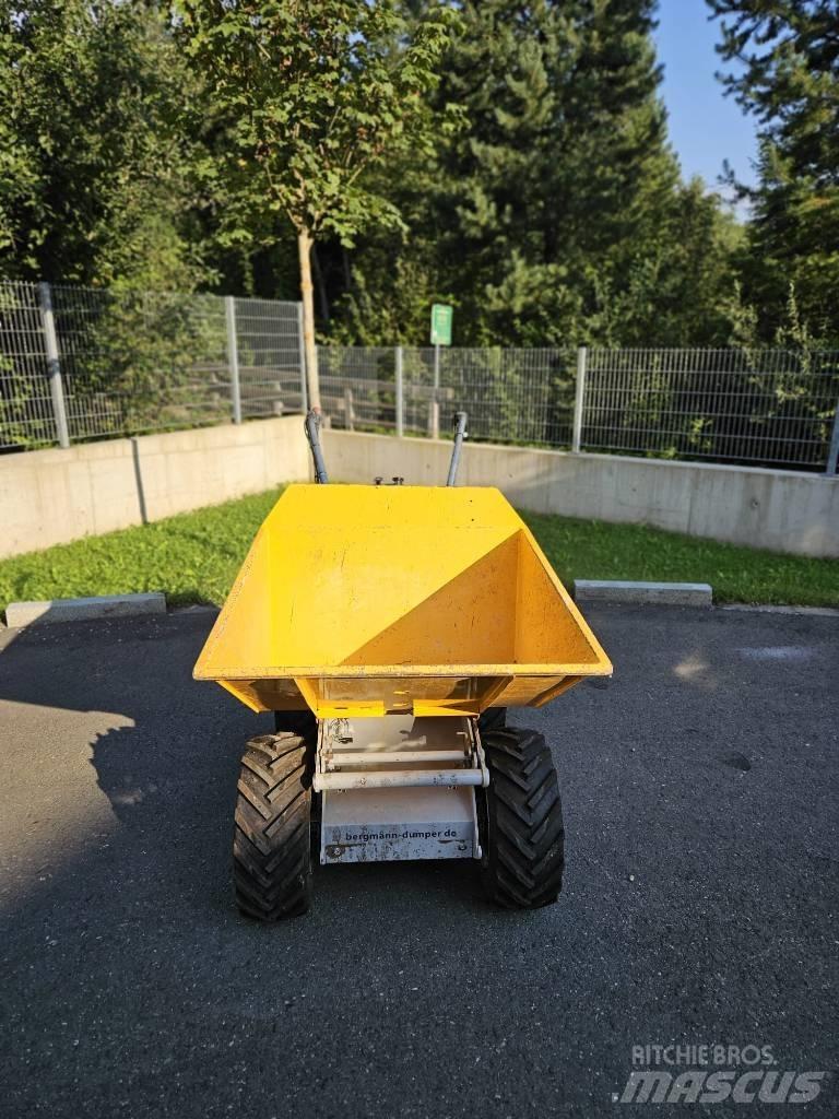 Bergmann C301S Міні самоскиди