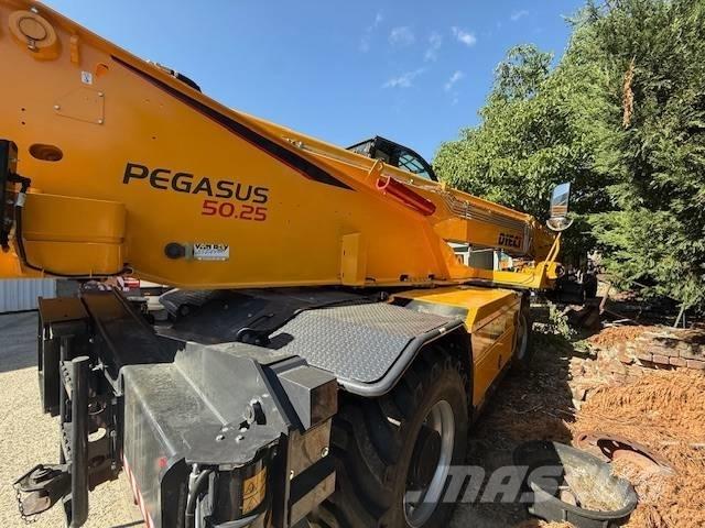 Dieci Pegasus 50.25 Телескопічні навантажувачі