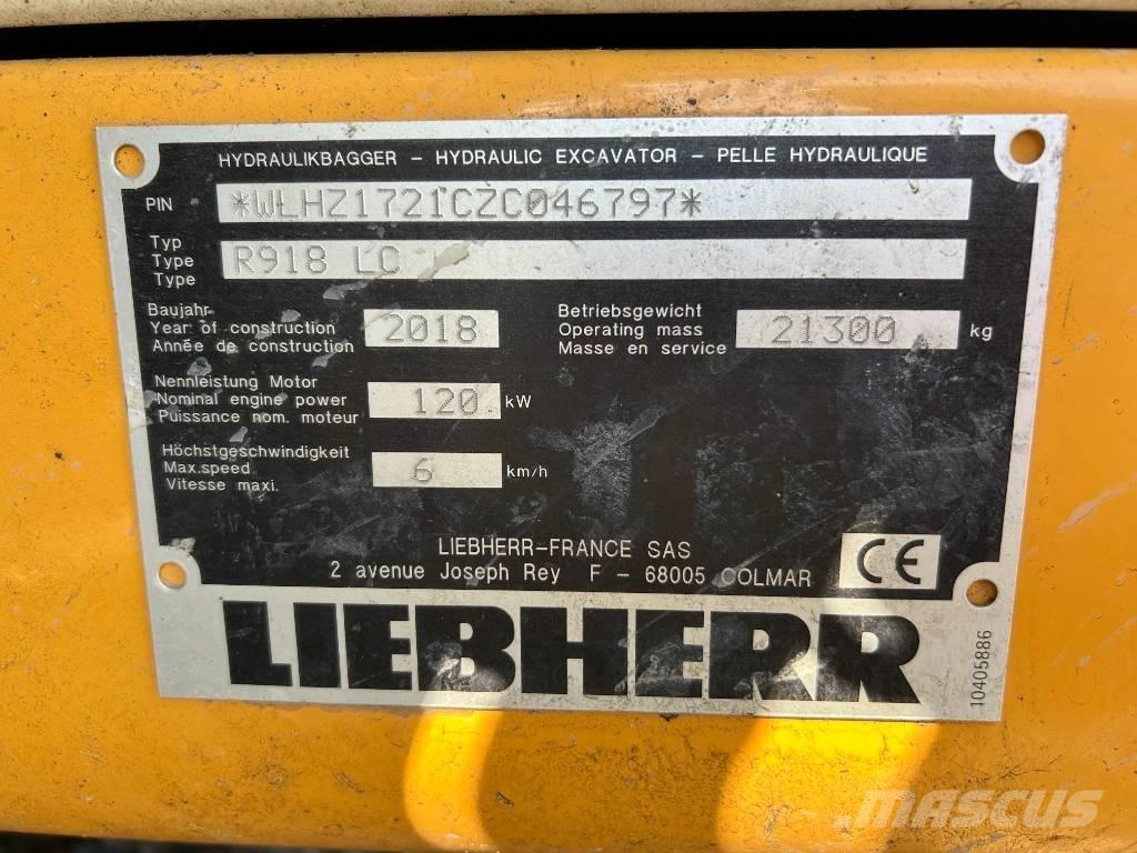 Liebherr R 918 LC Гусеничні екскаватори
