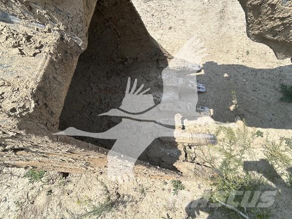 CASE CX160D Гусеничні екскаватори