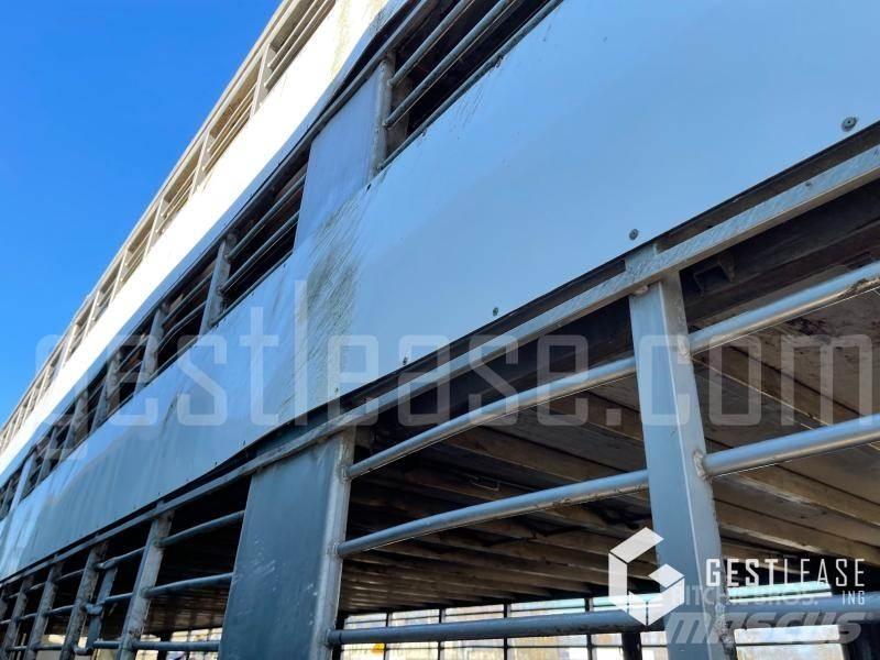 Samro ST39WG Напівпричепи для транспортування тварин