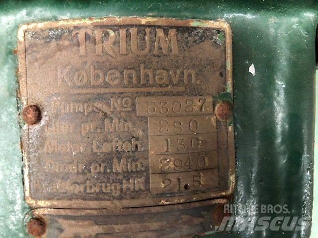  TRIUM QZKS Vandpumpe Гідронасоси