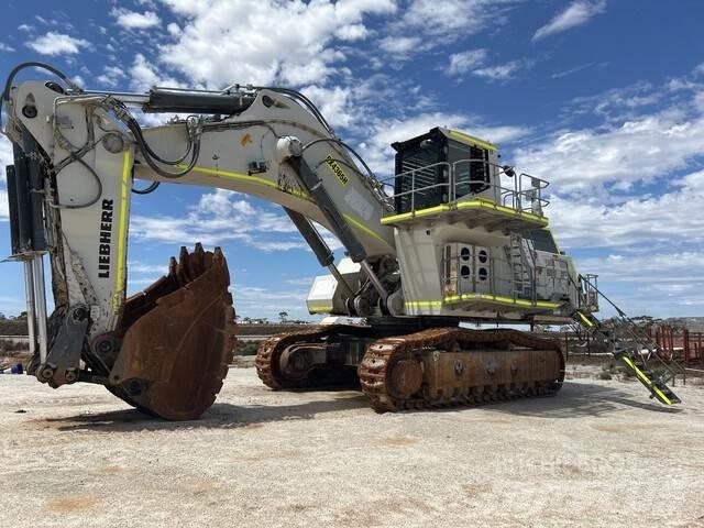 Liebherr 9200 Гусеничні екскаватори
