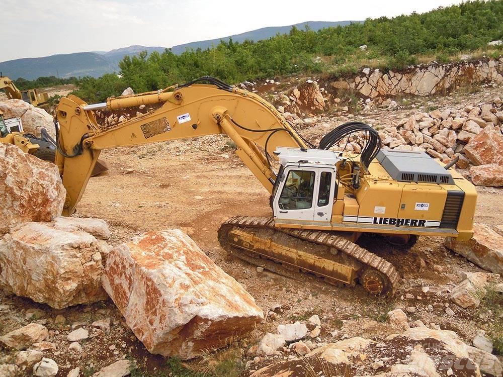 Liebherr R974BHD Гусеничні екскаватори