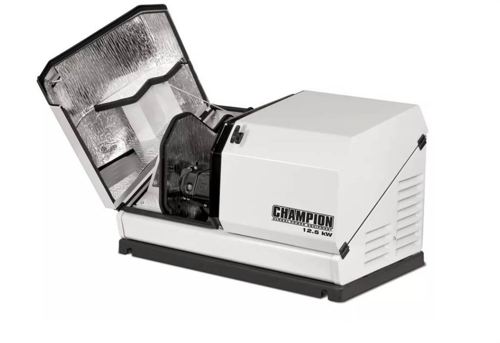 Champion 100838 Дизельні генератори
