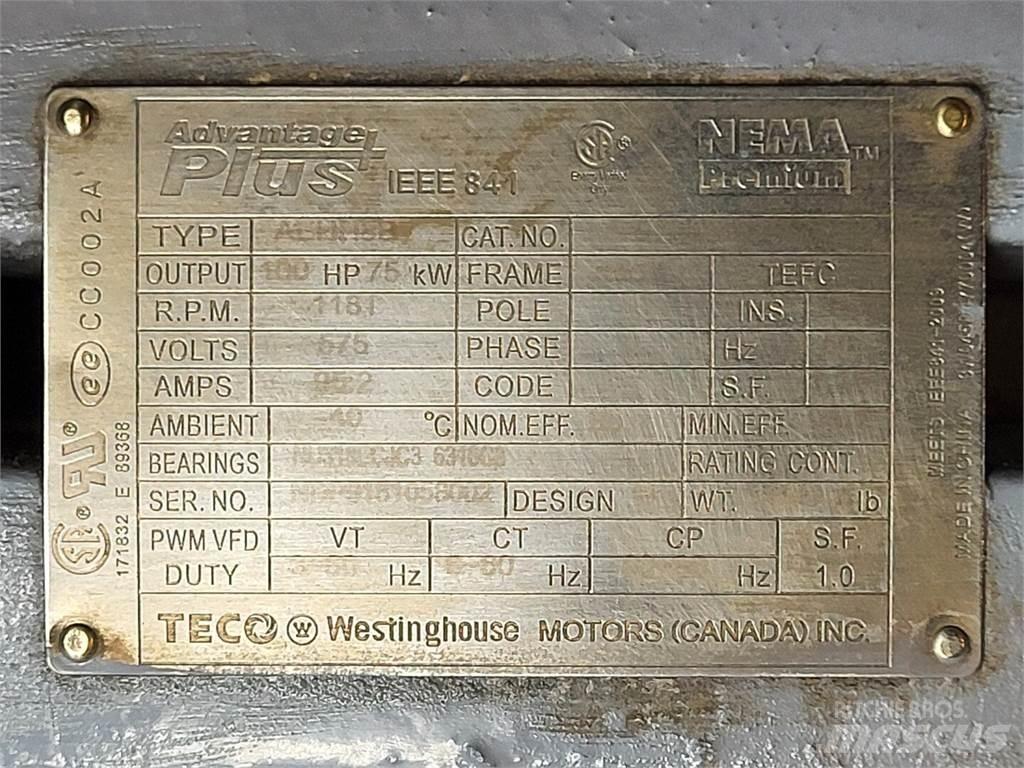  TECO-WESTINGHOUSE Промислові двигуни