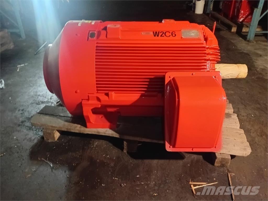  TECO-WESTINGHOUSE Промислові двигуни