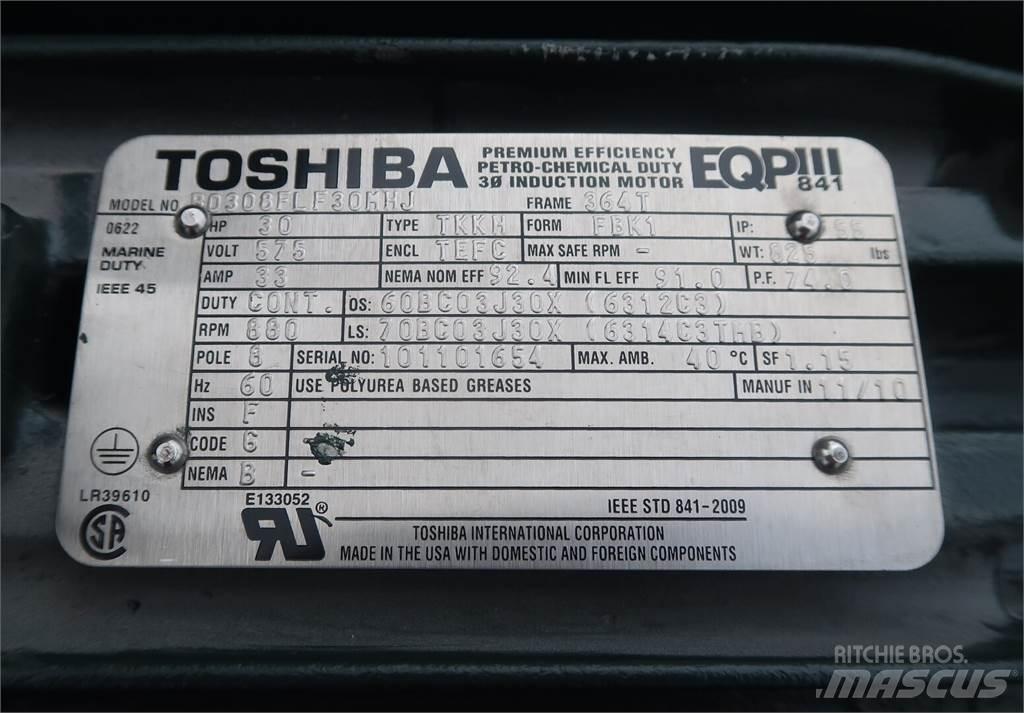  TOSHIBA B0308FLF30MHJ Промислові двигуни