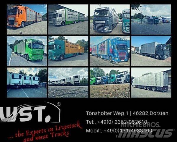 Kässbohrer  Тентовані причепи