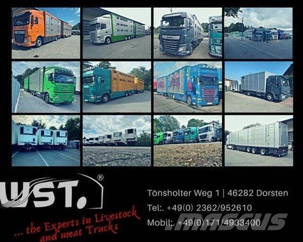 Kässbohrer  Тентовані причепи