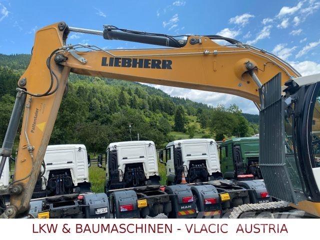 Liebherr R 924 LC Гусеничні екскаватори