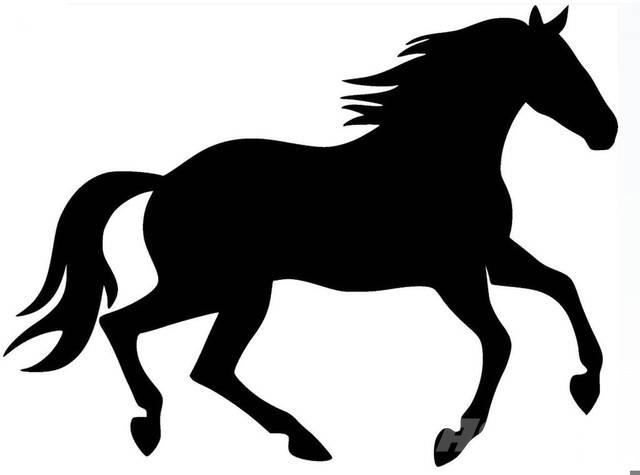  Bay Filly Будтехніка - Інші