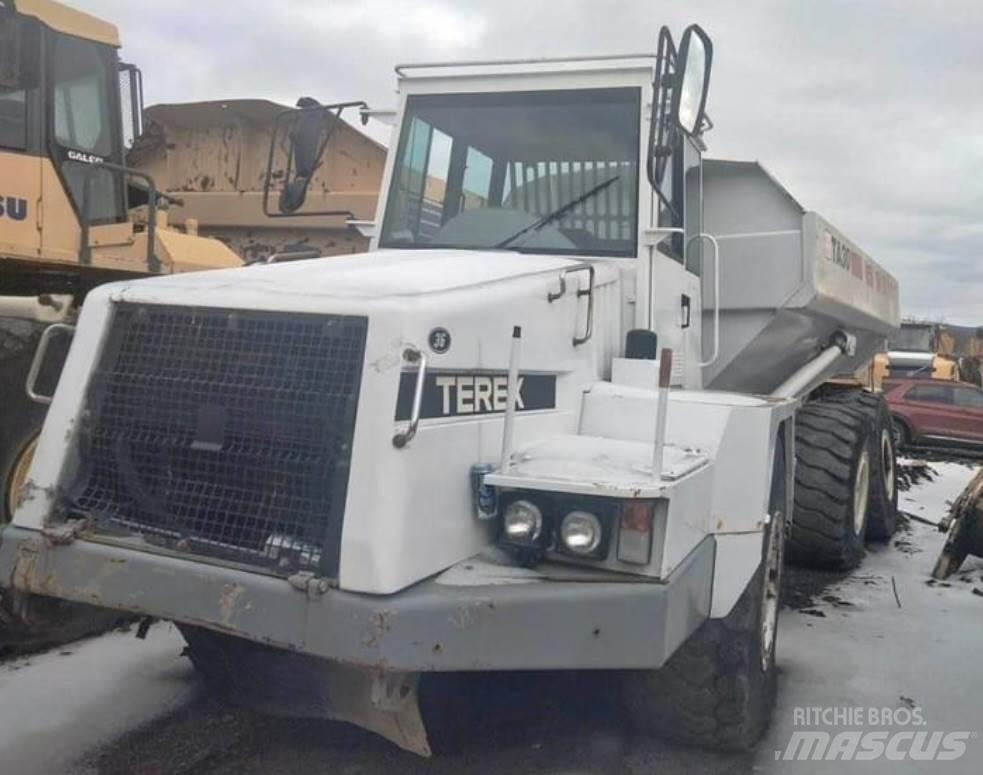 Terex TA30 Панельні фургони
