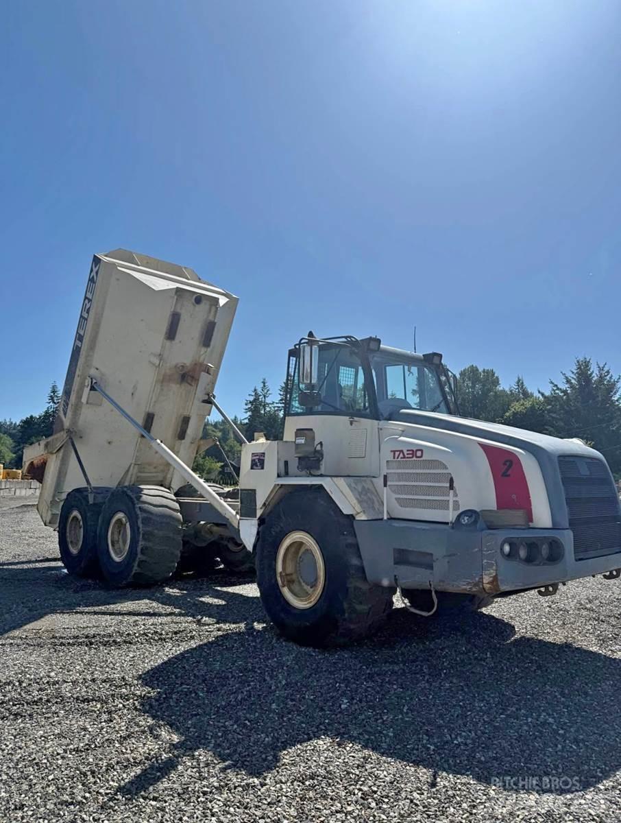 Terex TA30 Панельні фургони