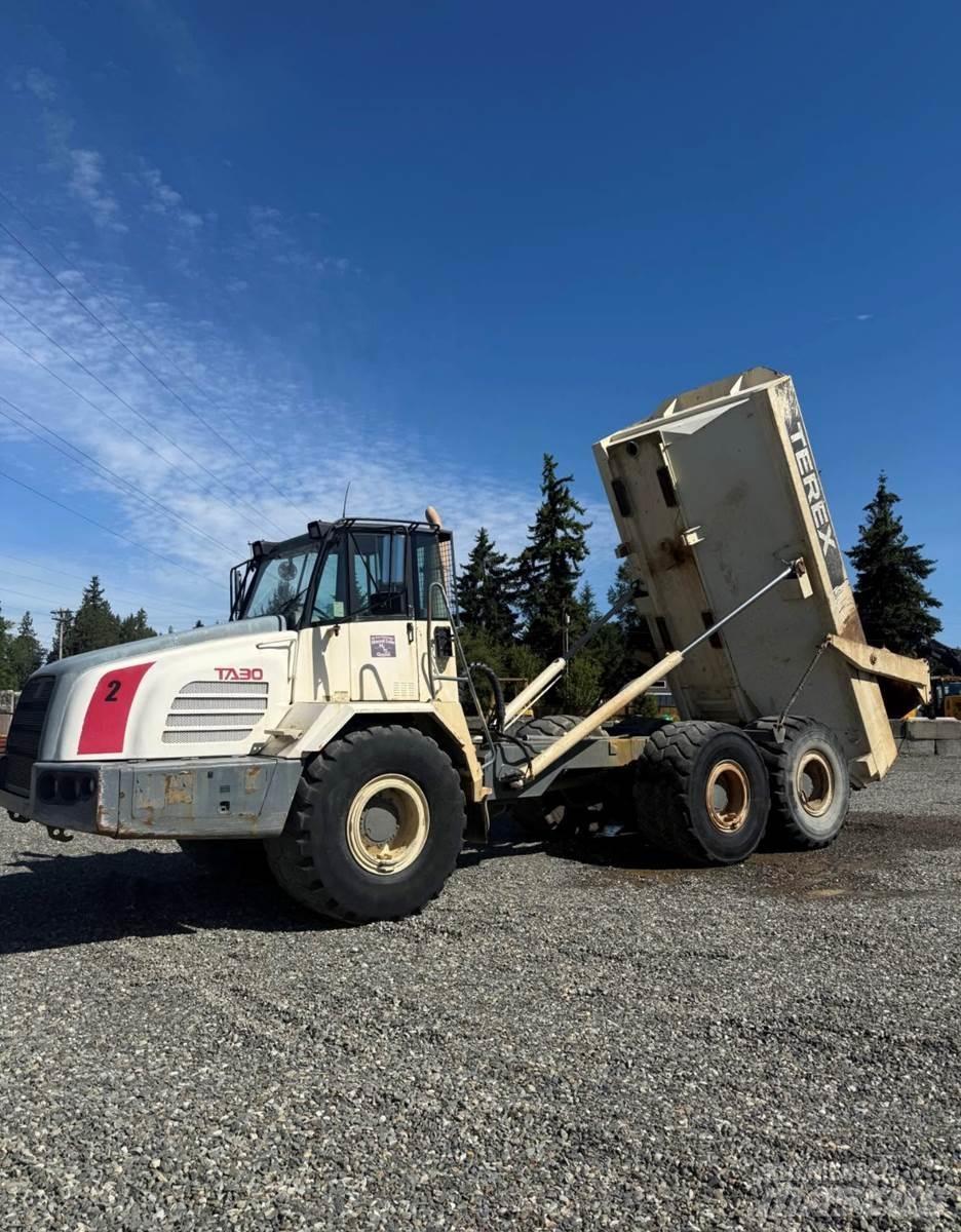 Terex TA30 Панельні фургони
