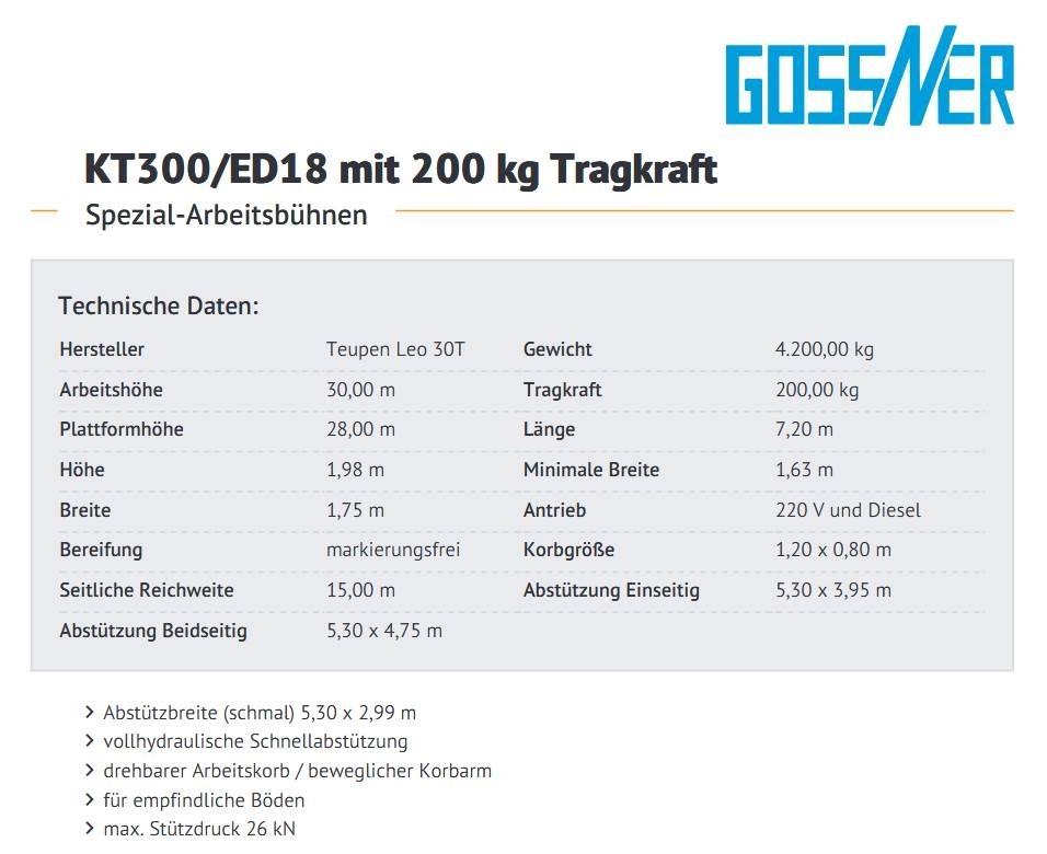 Teupen Leo 30 T Компактні самохідні стрілові підйомники