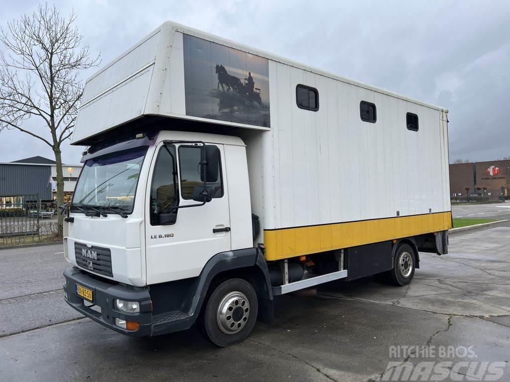 MAN LE 8-180 HORSE TRUCK - 4 PAARDS Автотранспорт для перевезення тварин