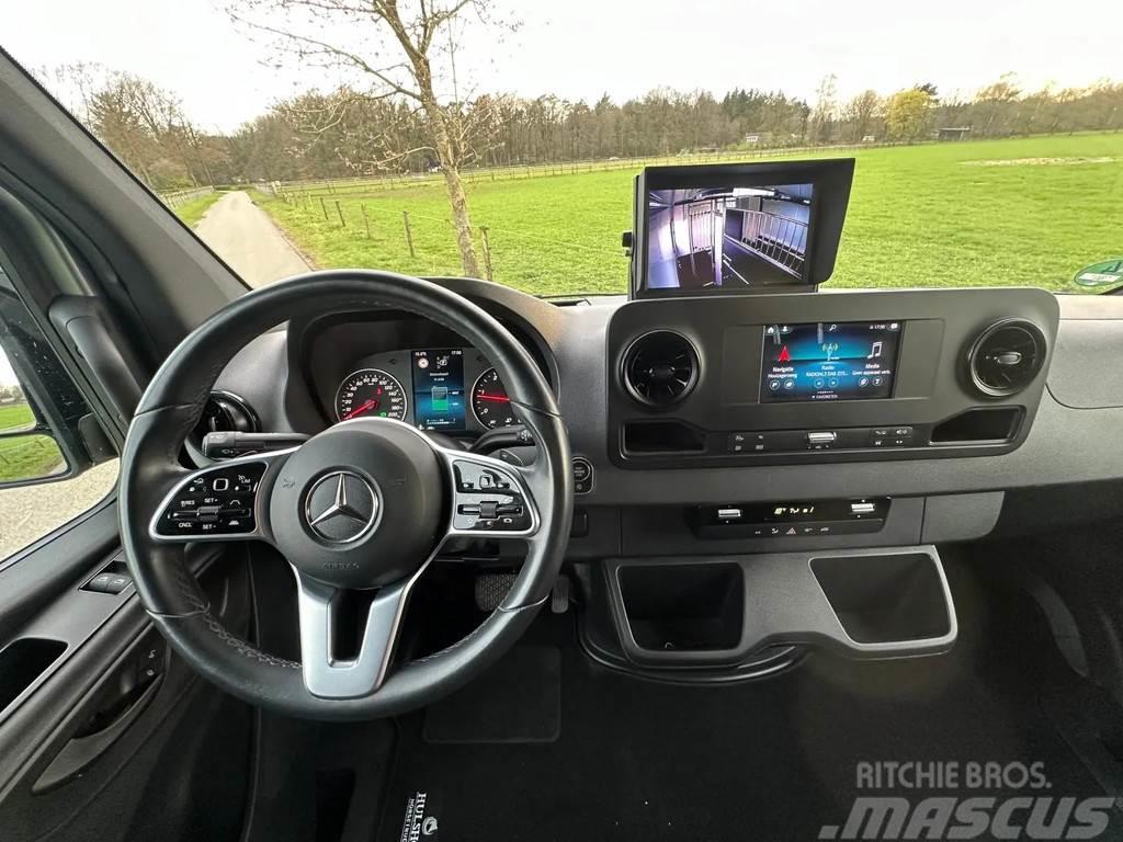 Mercedes-Benz Sprinter AMG 2-paards paardenvrachtwagen B-rijbewi Автотранспорт для перевезення тварин