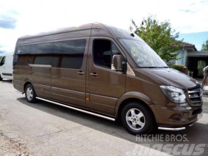  sprinter 313 Bluetec VIP Luxury Bus Вантажівки / спеціальні
