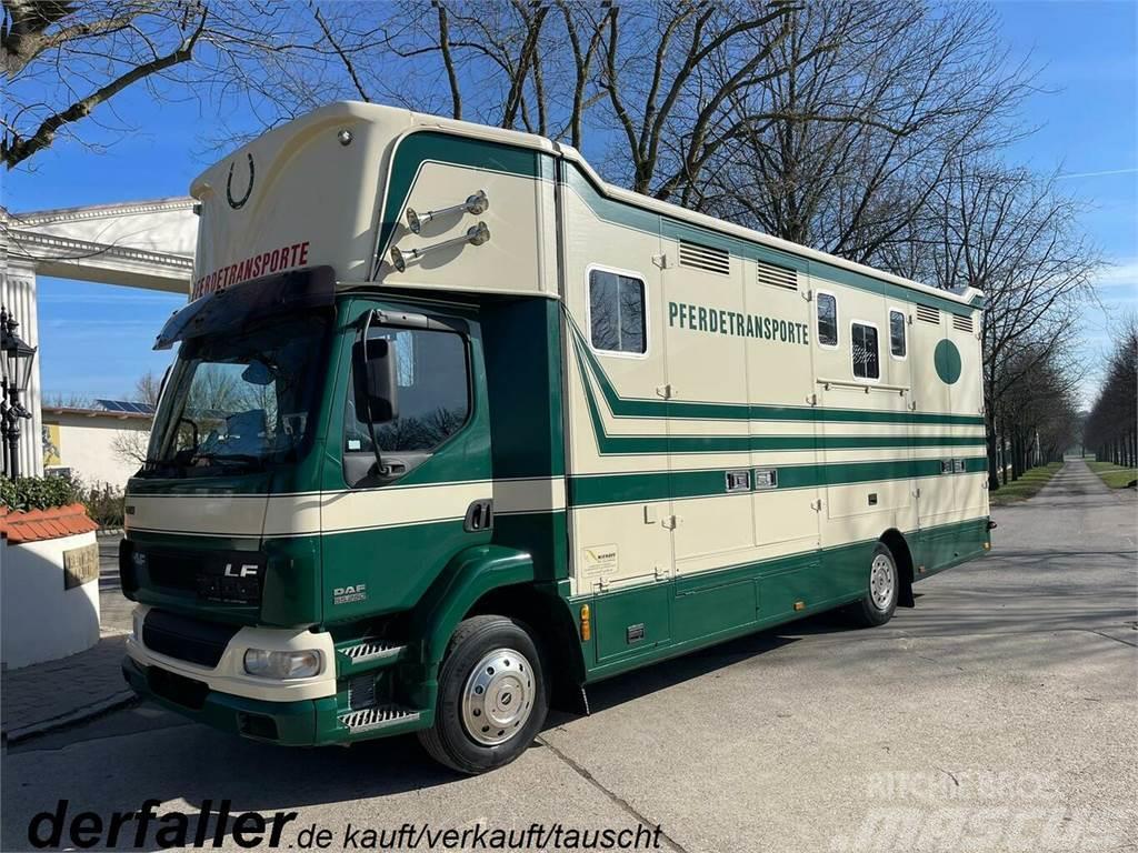 DAF LF 55250 Niehoffaufbau 6 Pferde Автотранспорт для перевезення тварин
