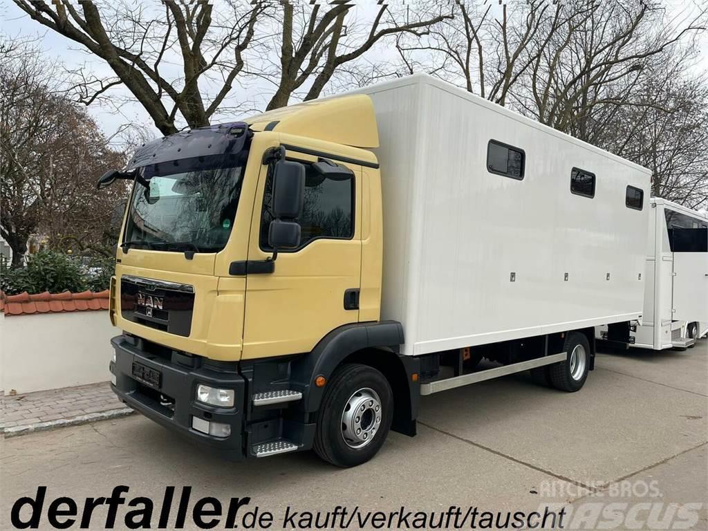 MAN 15250 6 Pferde neuer Aufbau, Automatik Автотранспорт для перевезення тварин