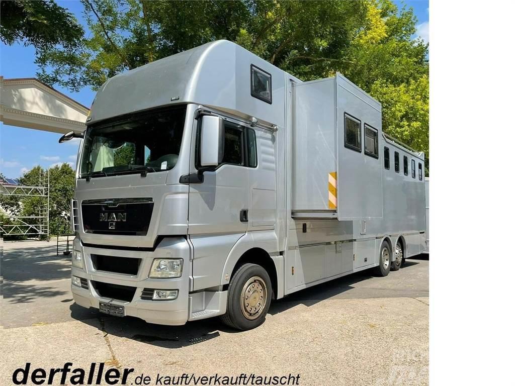 MAN TGX 26400 Gimmel 5-6 Pferde + Kiste, Popout Автотранспорт для перевезення тварин