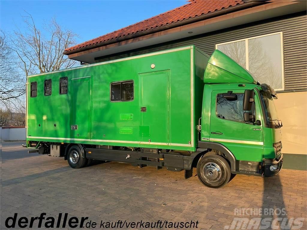 MERCEDES-BENZ Atego 1018 4 Pferde Euro 5 Automatik Klima Автотранспорт для перевезення тварин