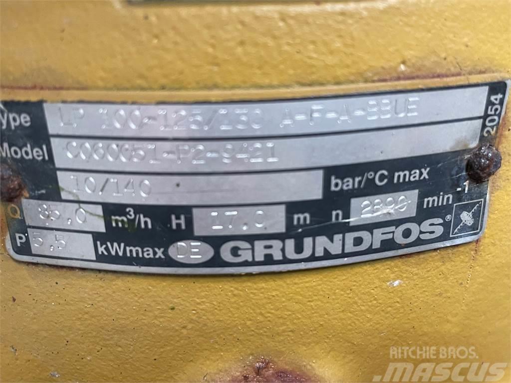 Grundfos type LP 100-125/130 A-F-A-BBUE pumpe Гідронасоси