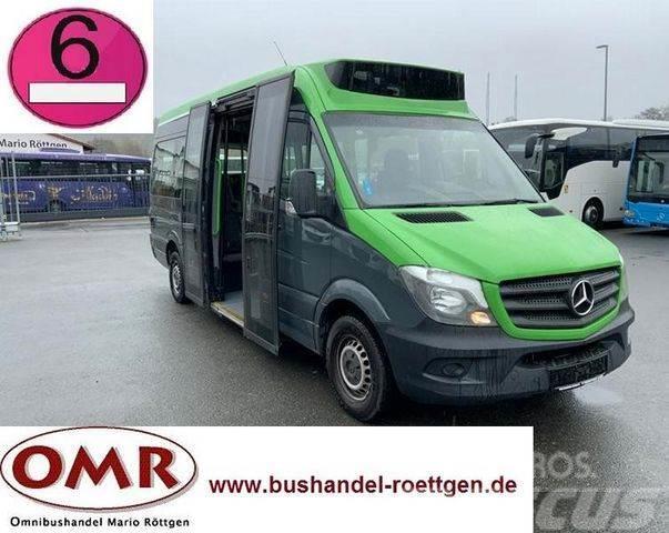 Mercedes-Benz Sprinter 314 Mobility / 316 / 514 / 516 / Rampe Мікроавтобуси