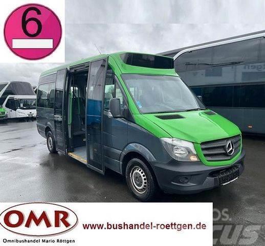Mercedes-Benz Sprinter 314 Mobility / 316 / 514 / 516 / Rampe Мікроавтобуси